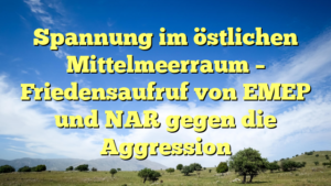 Spannung im östlichen Mittelmeerraum – Friedensaufruf von EMEP und NAR gegen die Aggression